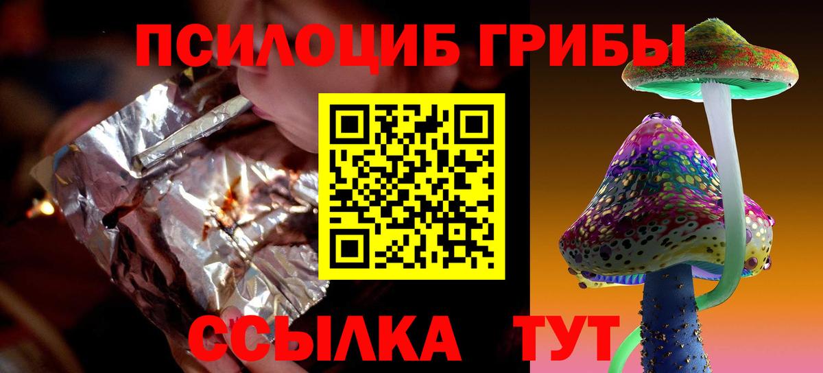 Жигулёвск  Псилоцибиновые грибы прущие грибы  Вход с VPN 