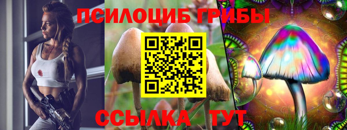 Псилоцибиновые грибы мицелий Жигулёвск